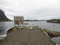 Lofoten_MG_1080