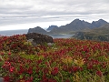 Lofoten_MG_1192