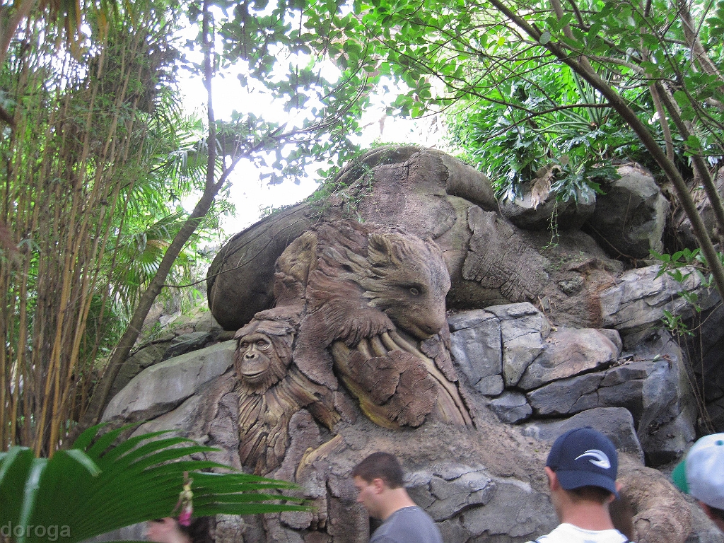 AnimalKingdom_MG_2528.JPG - Animal Kingdom