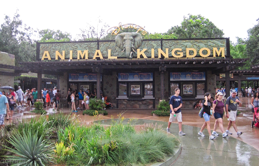 AnimalKingdom_MG_2589.JPG - Animal Kingdom