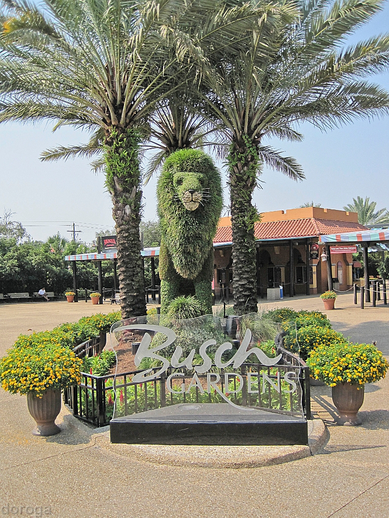 BuschGardens_MG_3038.JPG - Busch Gardens, Tampa Bay