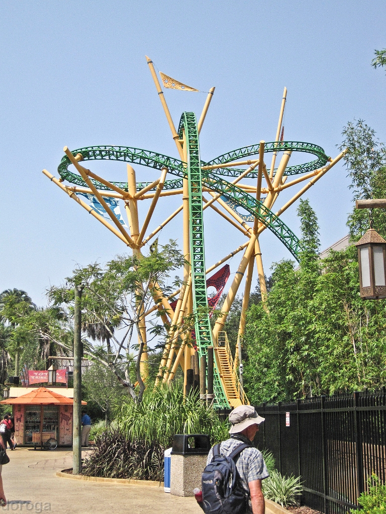 BuschGardens_MG_3053.JPG - Busch Gardens, also has roller coasters. Cheetah Hunt