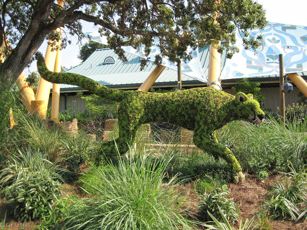 BuschGardens_MG_3104.JPG - Busch Gardens
