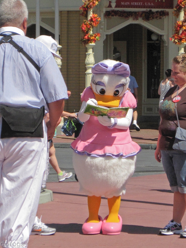 MagicKingdom_MG_2731.JPG - Magic Kingdom