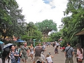 AnimalKingdom_MG_2525