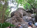 AnimalKingdom_MG_2528