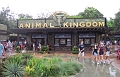 AnimalKingdom_MG_2589