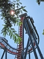 BuschGardens_MG_3089