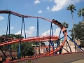 BuschGardens_MG_3102