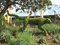 BuschGardens_MG_3104